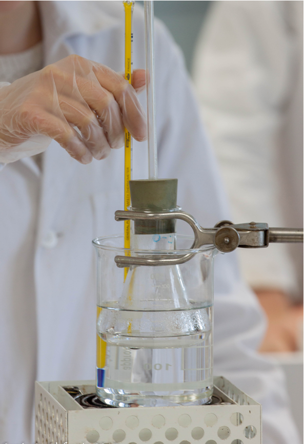 Bac G sciences